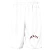 Pro Mesh 9" Shorts with Pockets Thumbnail